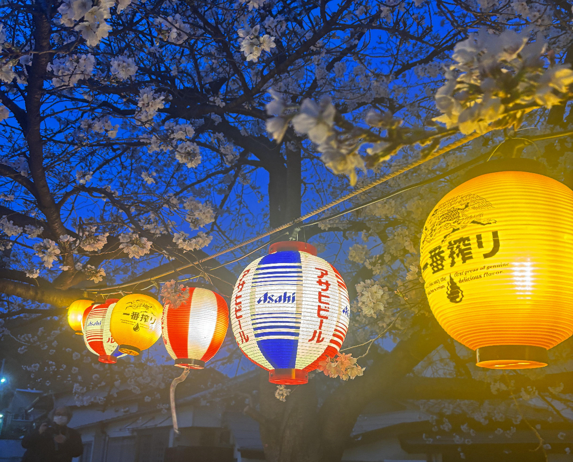 写真の説明を入れます